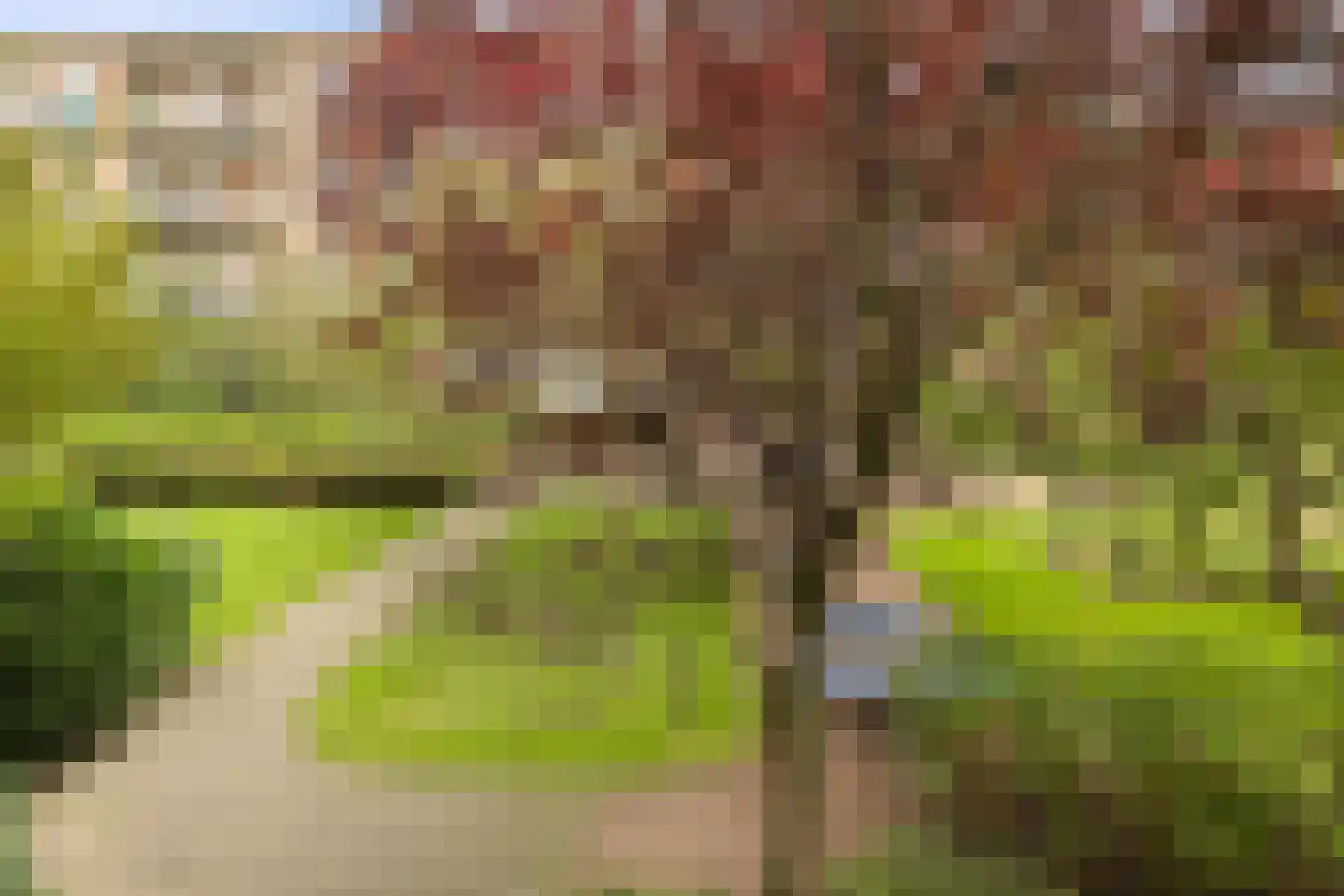 Willem de Zwijgerlaan 28 H Amsterdam thumbnail 29