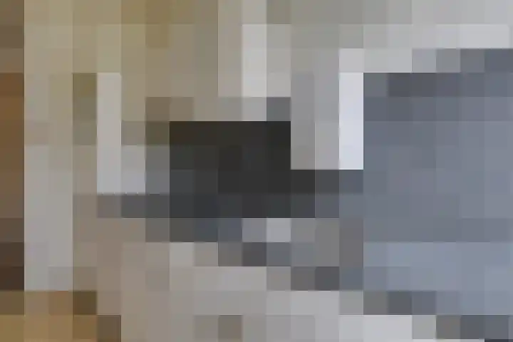 Willem de Zwijgerlaan 28 Voorschoten thumbnail 18