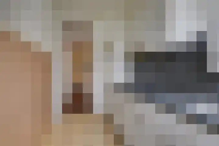 Willem de Zwijgerlaan 28 Voorschoten thumbnail 19