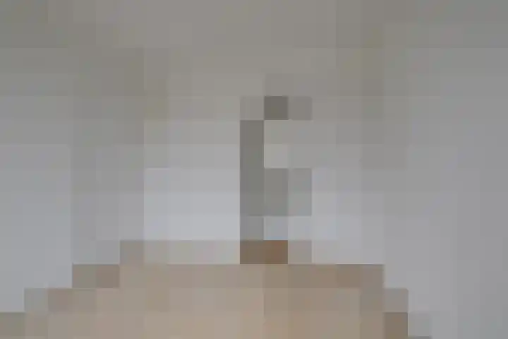 Willem de Zwijgerlaan 28 Voorschoten thumbnail 42