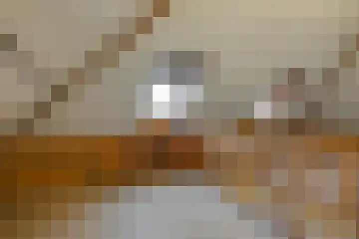 Willem de Zwijgerlaan 28 Voorschoten thumbnail 45