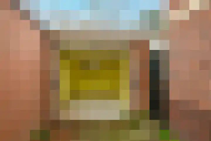 Willem de Zwijgerlaan 28 Voorschoten thumbnail 48