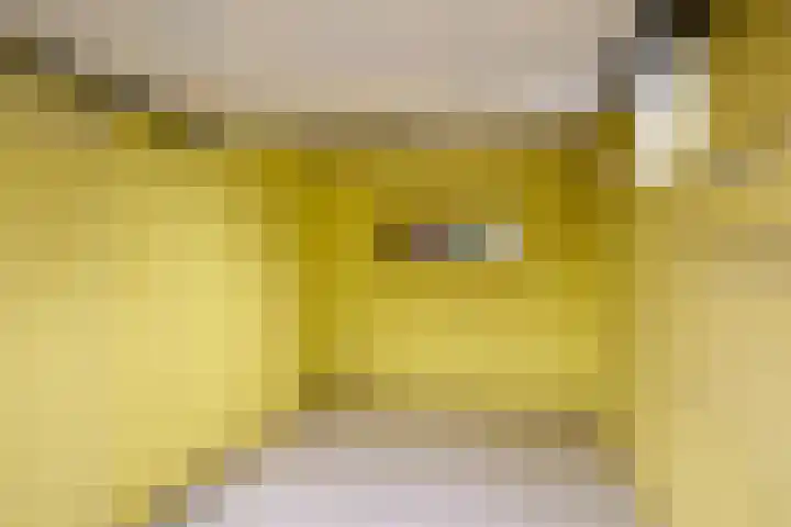 Willem de Zwijgerlaan 28 Voorschoten thumbnail 49