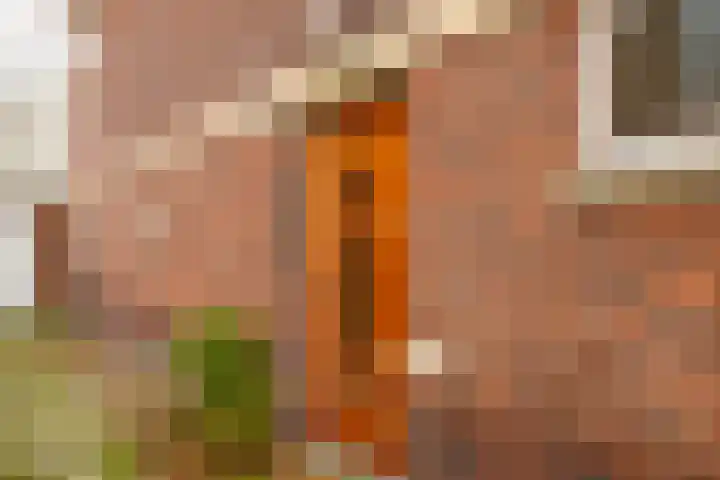 Willem de Zwijgerlaan 28 Voorschoten thumbnail 5