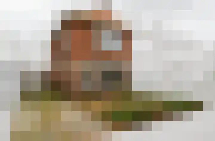 Willem de Zwijgerlaan 28 Voorschoten thumbnail 50