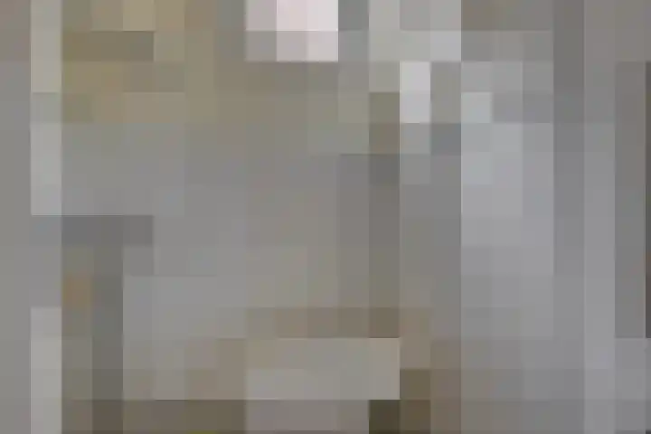 Willem de Zwijgerlaan 28 Voorschoten thumbnail 7