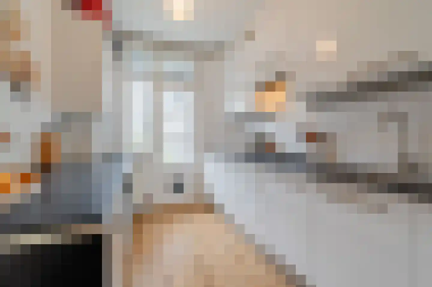 Willem de Zwijgerlaan 29 1 Amsterdam thumbnail 10
