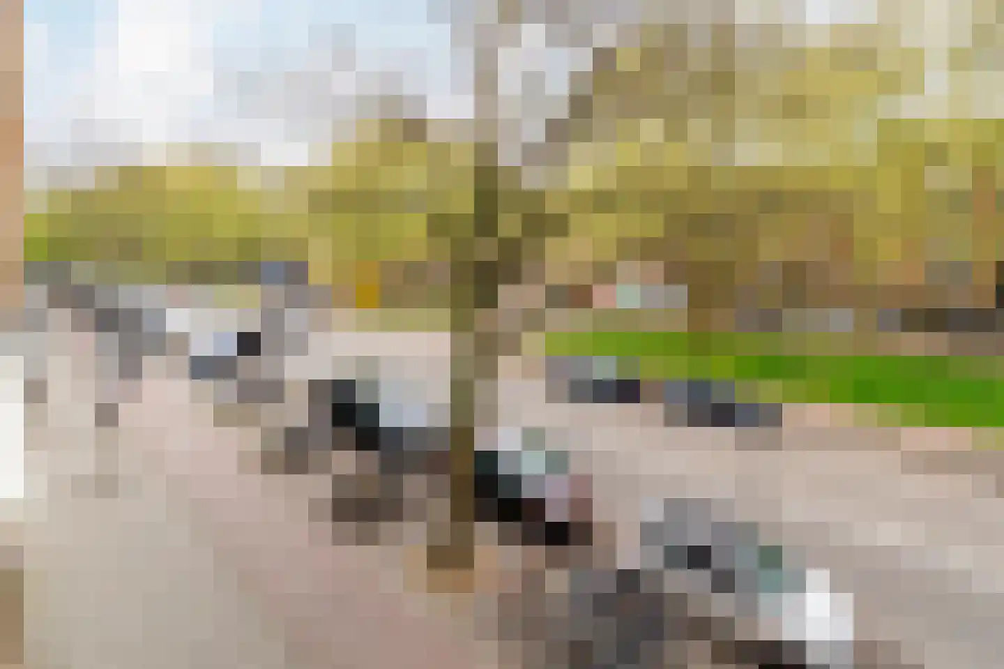 Willem de Zwijgerlaan 29 1 Amsterdam thumbnail 27