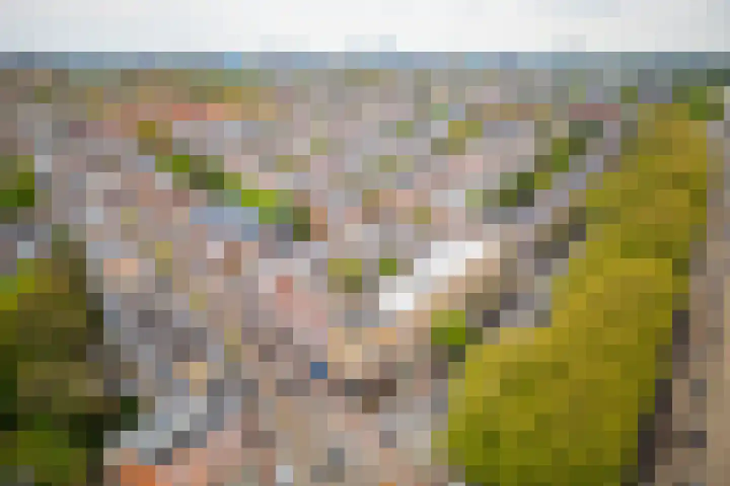 Willem de Zwijgerlaan 29 1 Amsterdam thumbnail 28