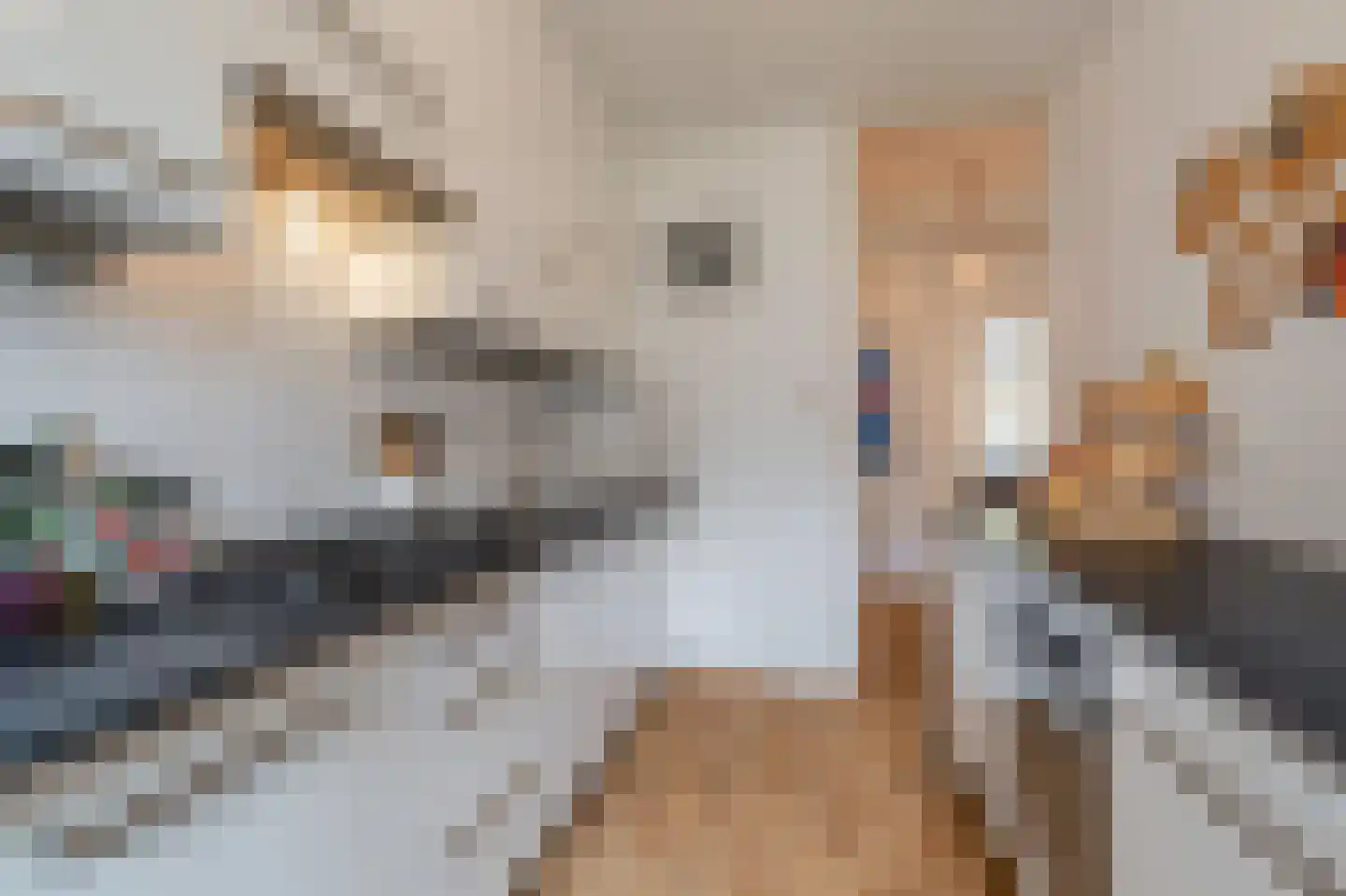 Willem de Zwijgerlaan 29 1 Amsterdam thumbnail 9