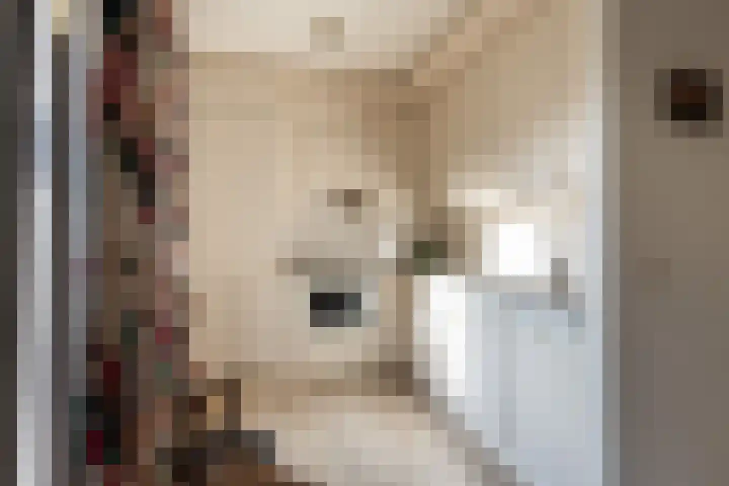 Willem de Zwijgerlaan 3 Ermelo thumbnail 12
