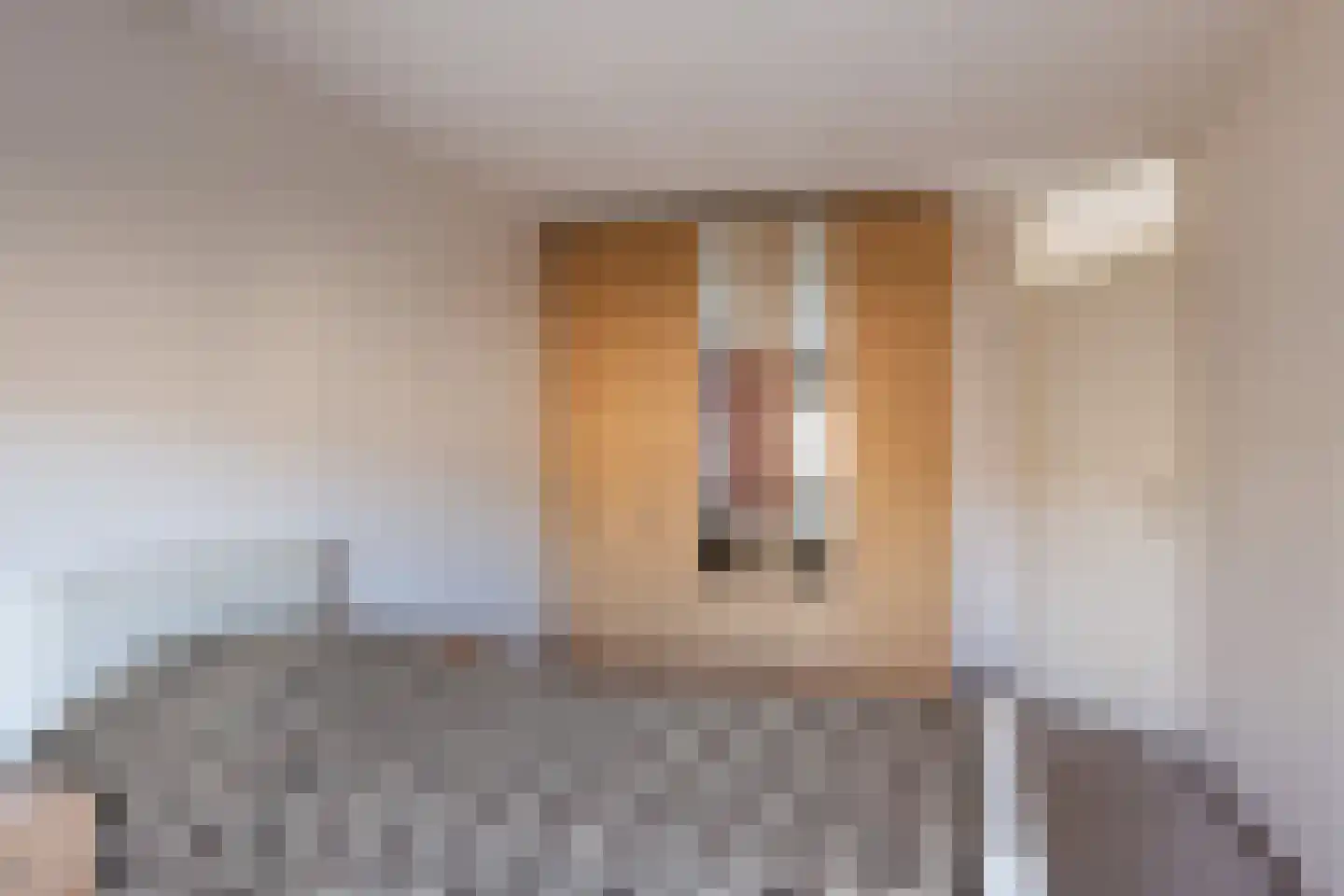 Willem de Zwijgerlaan 3 Ermelo thumbnail 23