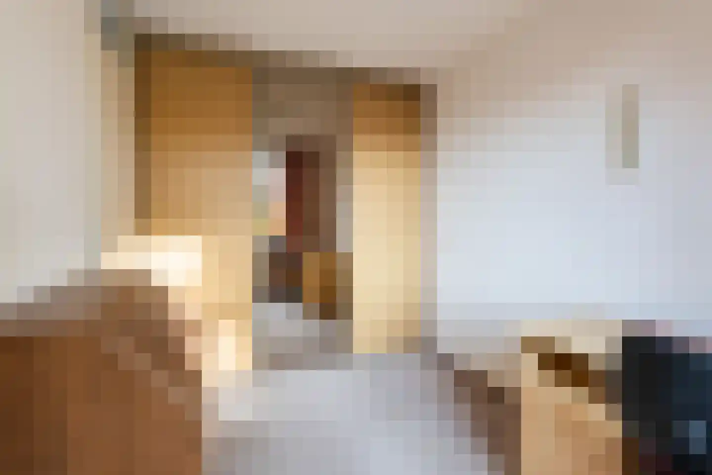 Willem de Zwijgerlaan 3 Ermelo thumbnail 25