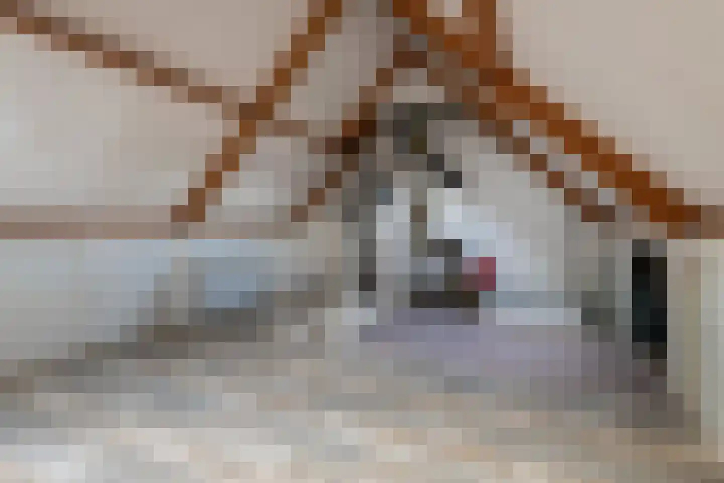 Willem de Zwijgerlaan 3 Ermelo thumbnail 32