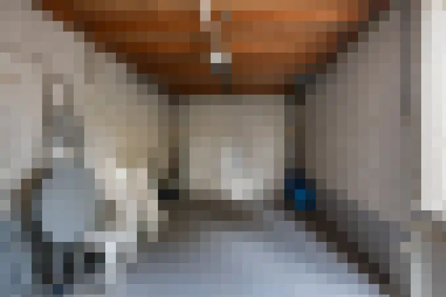Willem de Zwijgerlaan 3 Ermelo thumbnail 34