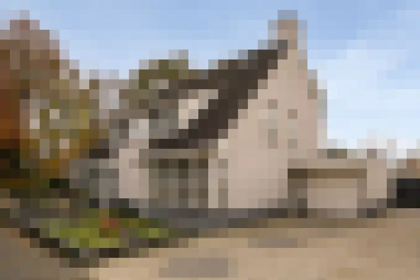 Willem de Zwijgerlaan 3 Ermelo thumbnail 4