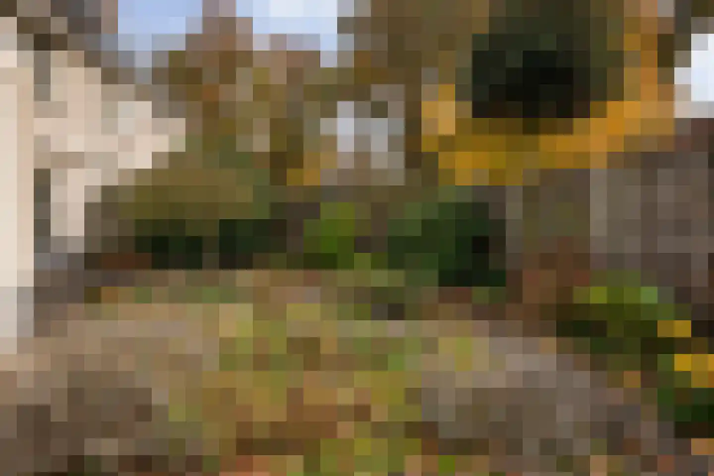 Willem de Zwijgerlaan 3 Ermelo thumbnail 40
