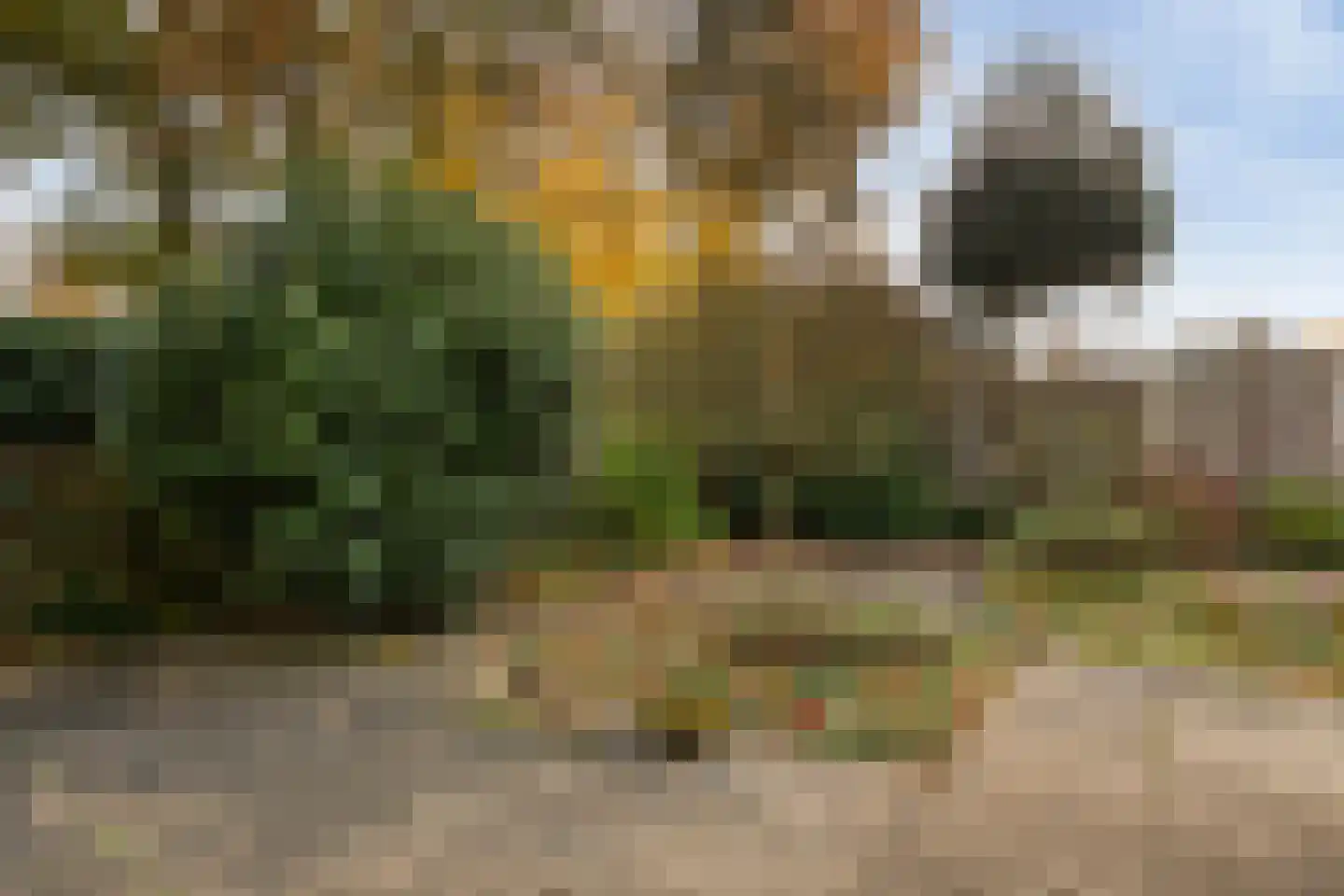 Willem de Zwijgerlaan 3 Ermelo thumbnail 41