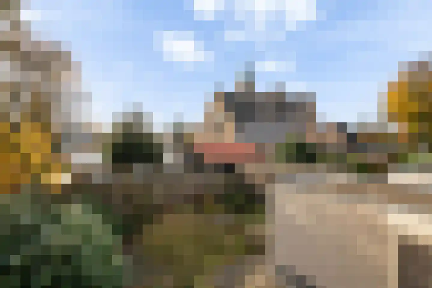 Willem de Zwijgerlaan 3 Ermelo thumbnail 43
