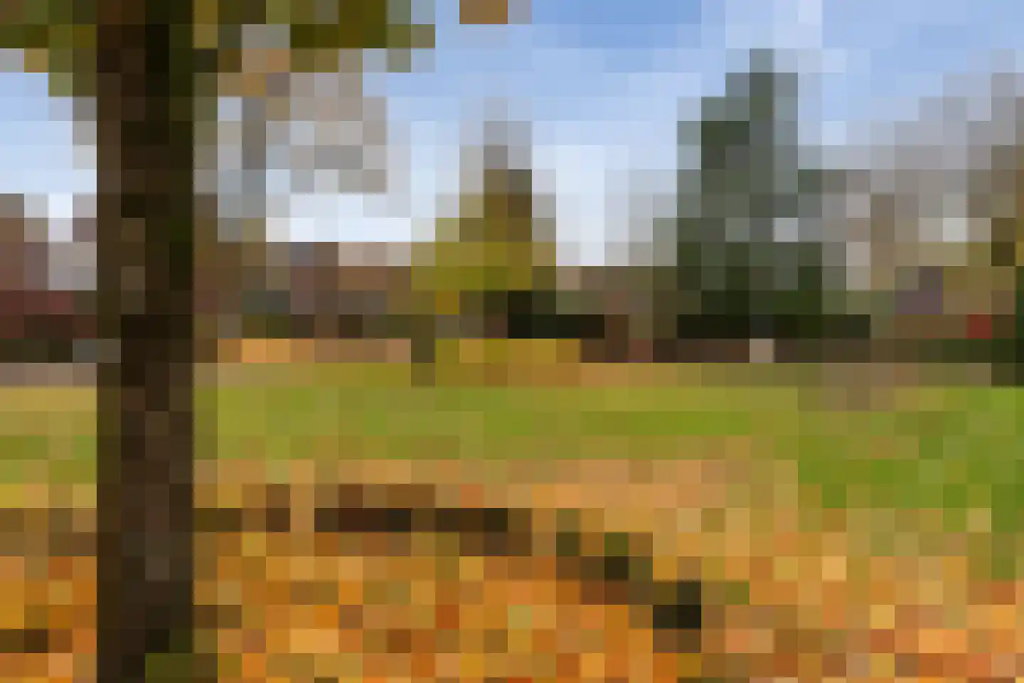 Willem de Zwijgerlaan 3 Ermelo thumbnail 49