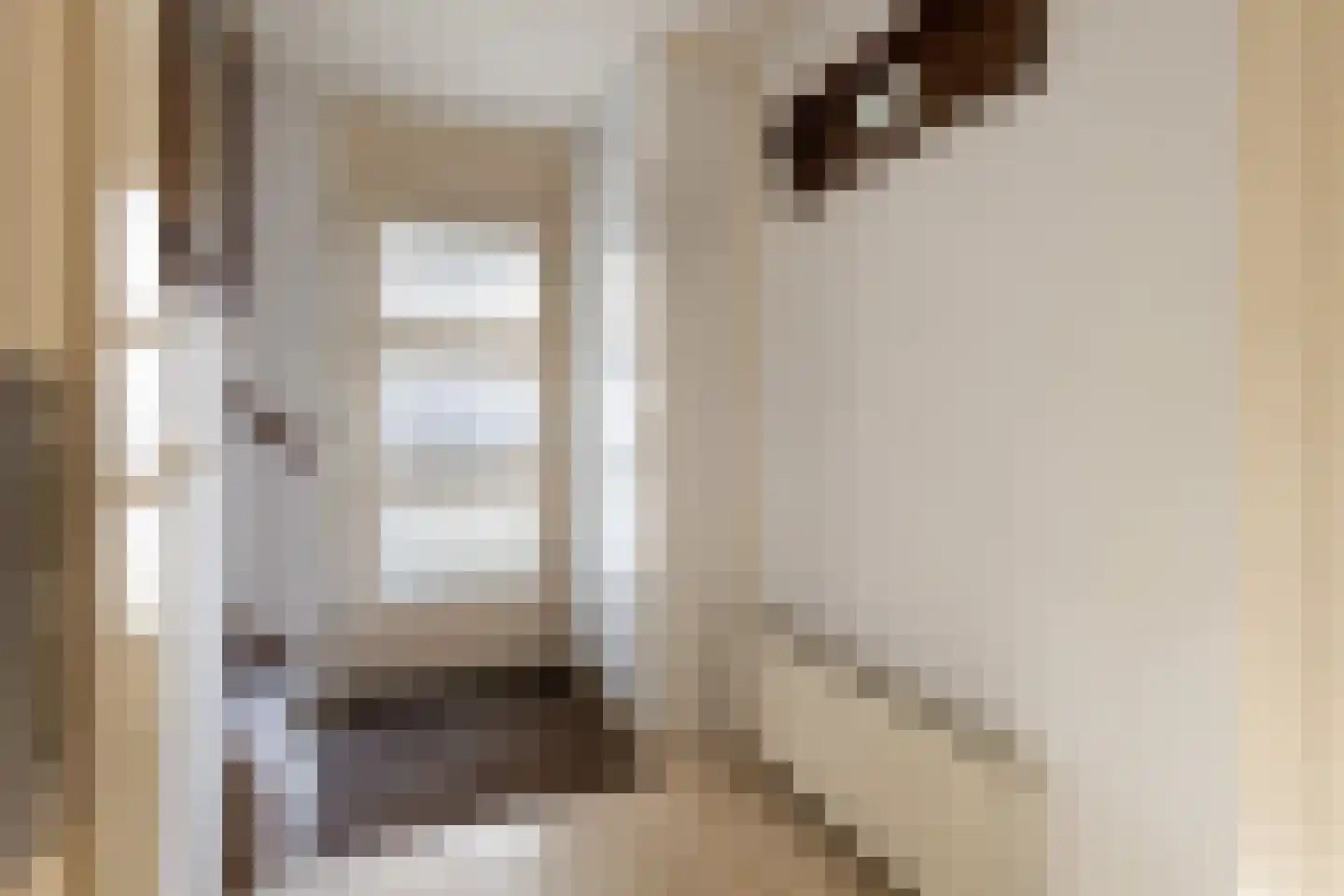 Willem de Zwijgerlaan 3 Ermelo thumbnail 5