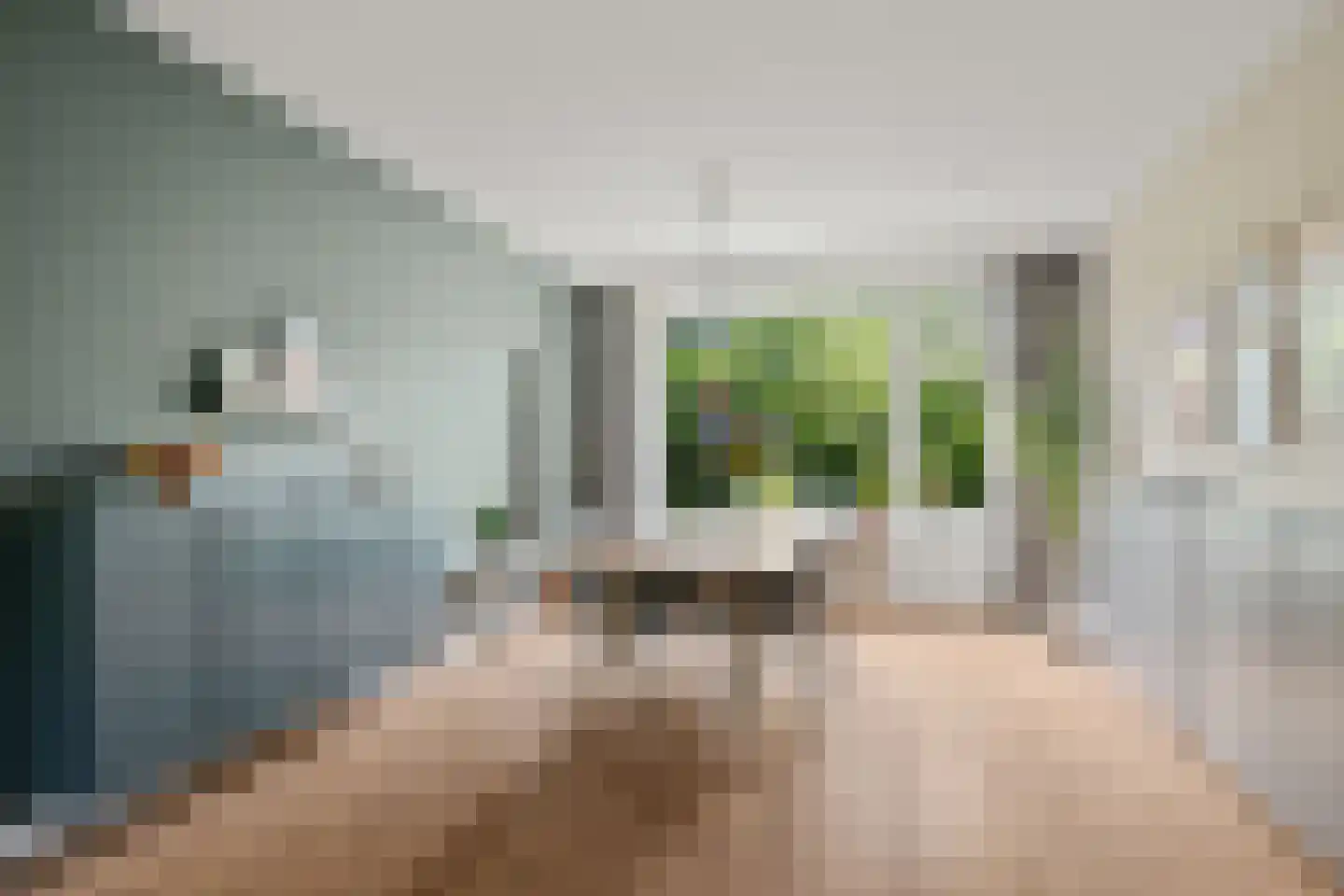 Willem de Zwijgerlaan 3 Hoevelaken thumbnail 13