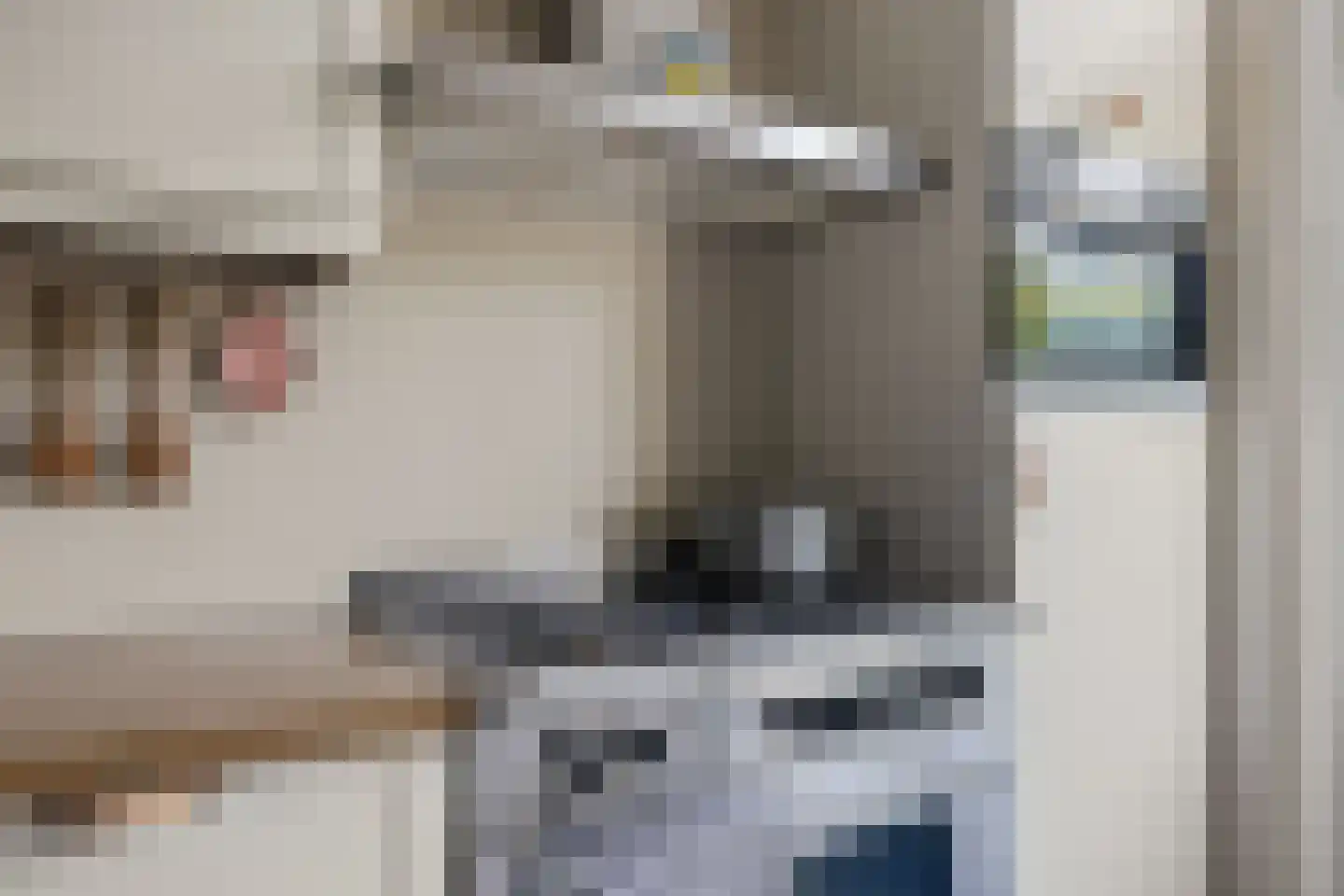Willem de Zwijgerlaan 3 Hoevelaken thumbnail 19