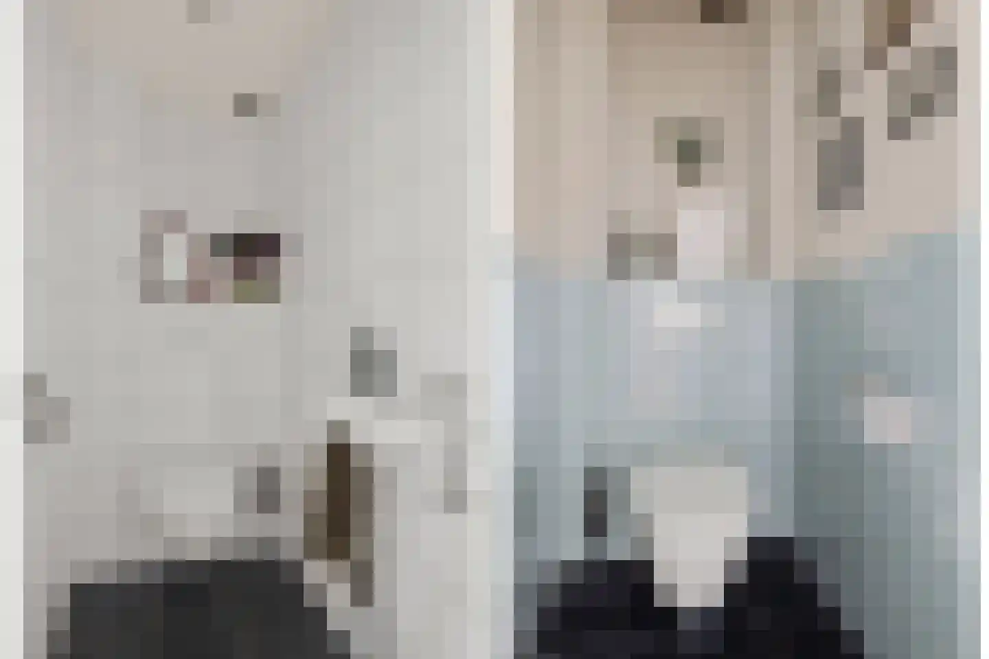 Willem de Zwijgerlaan 3 Hoevelaken thumbnail 21
