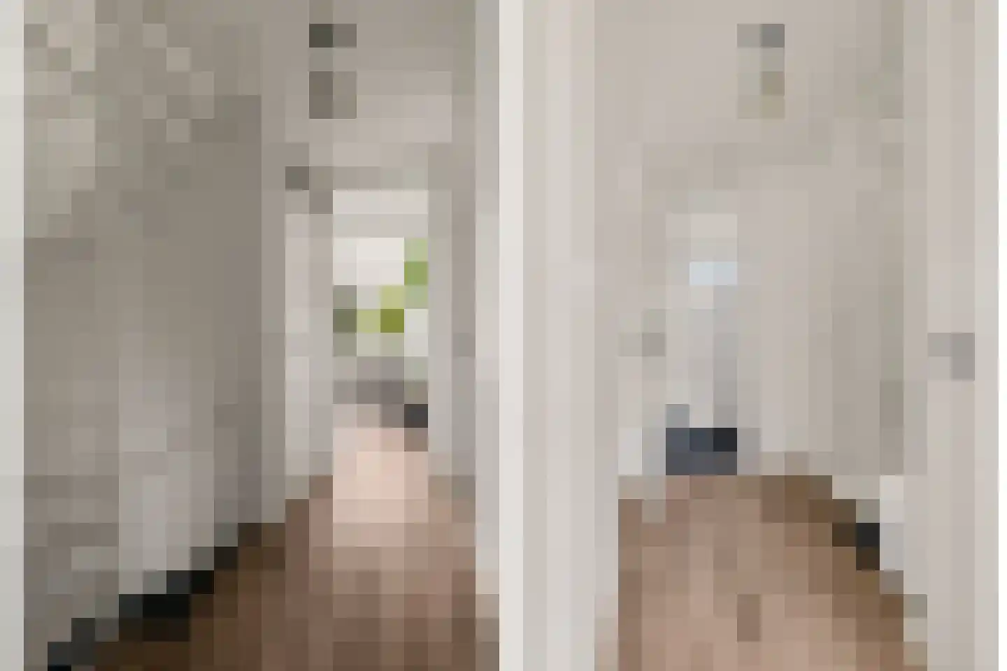 Willem de Zwijgerlaan 3 Hoevelaken thumbnail 22