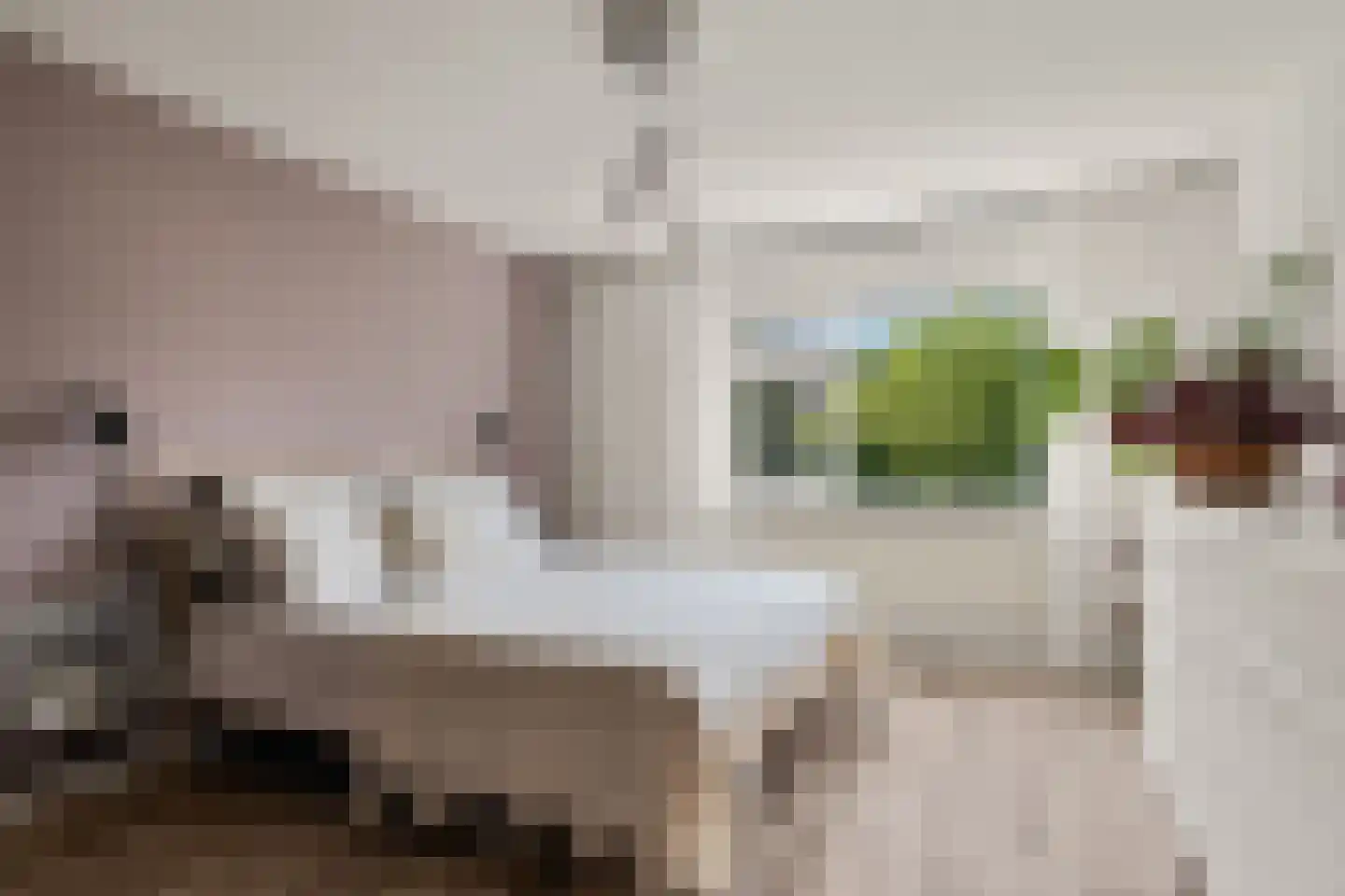 Willem de Zwijgerlaan 3 Hoevelaken thumbnail 23