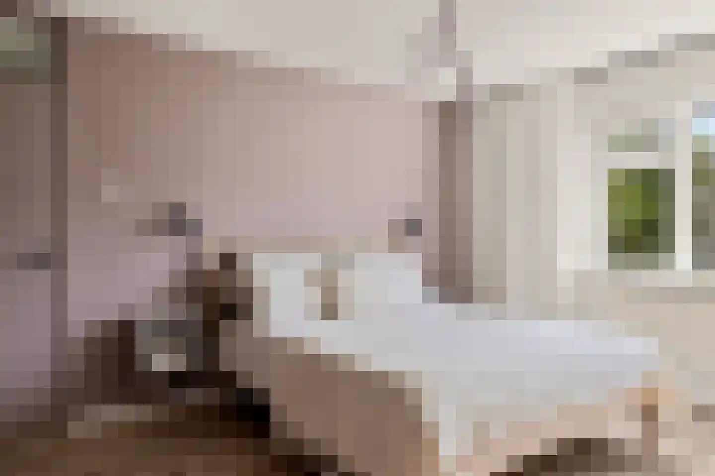 Willem de Zwijgerlaan 3 Hoevelaken thumbnail 24