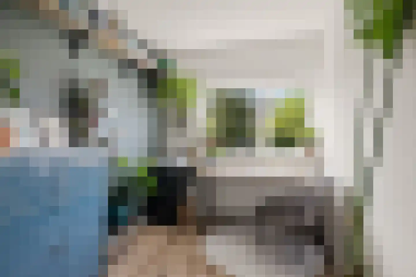 Willem de Zwijgerlaan 3 Hoevelaken thumbnail 30