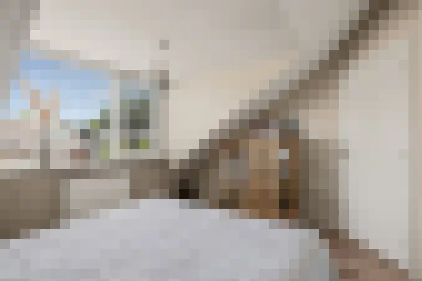 Willem de Zwijgerlaan 3 Hoevelaken thumbnail 39
