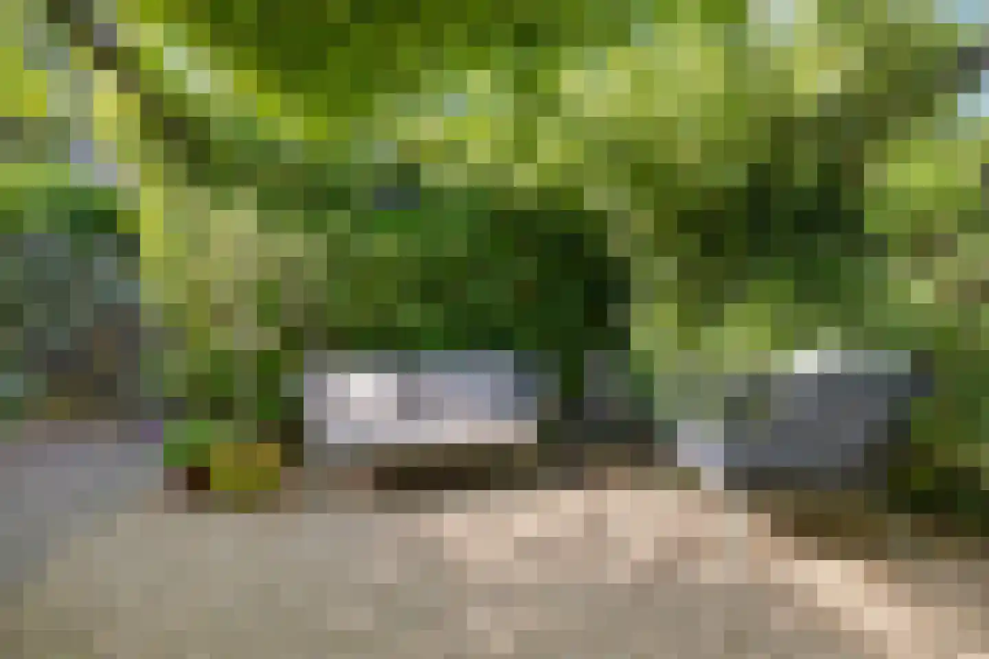 Willem de Zwijgerlaan 3 Hoevelaken thumbnail 54