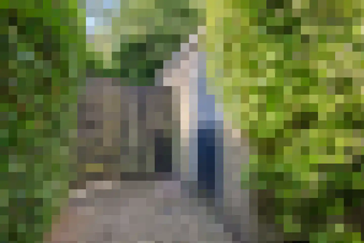 Willem de Zwijgerlaan 3 Hoevelaken thumbnail 59