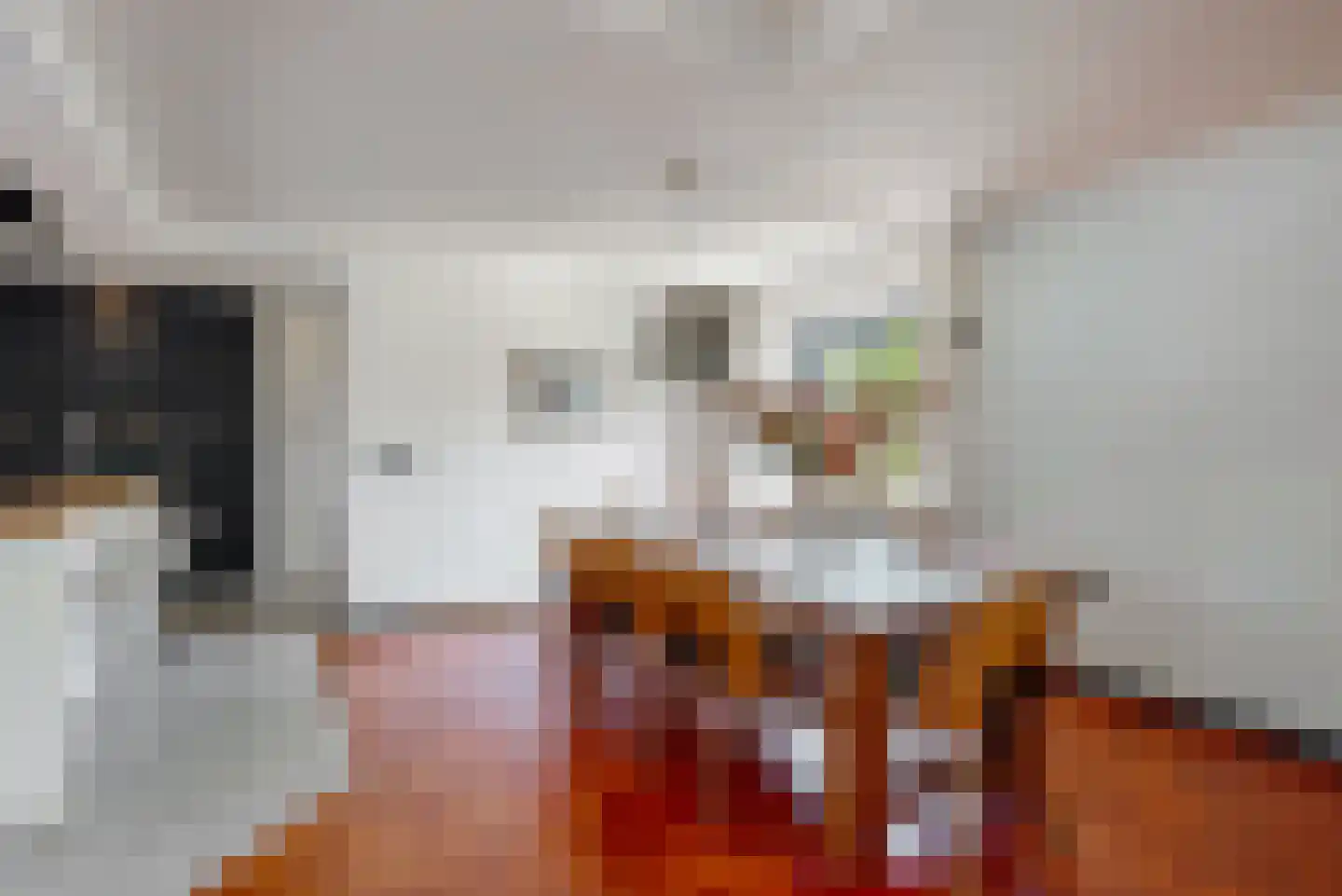 Willem de Zwijgerlaan 3 Hoorn thumbnail 10