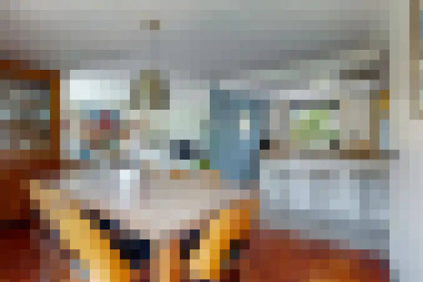 Willem de Zwijgerlaan 3 Hoorn thumbnail 11