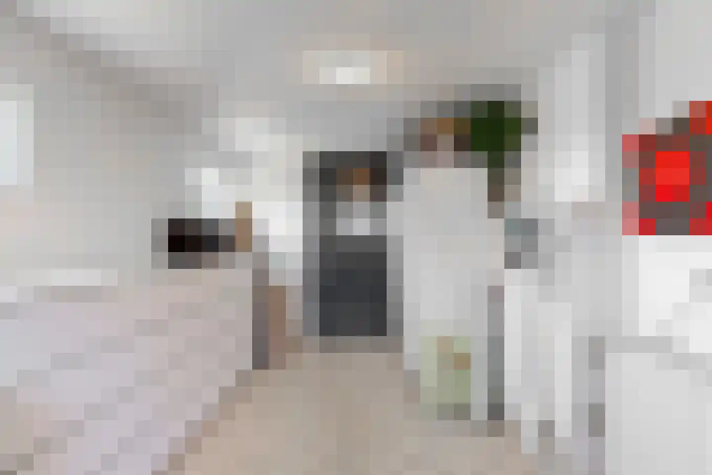 Willem de Zwijgerlaan 3 Hoorn thumbnail 19