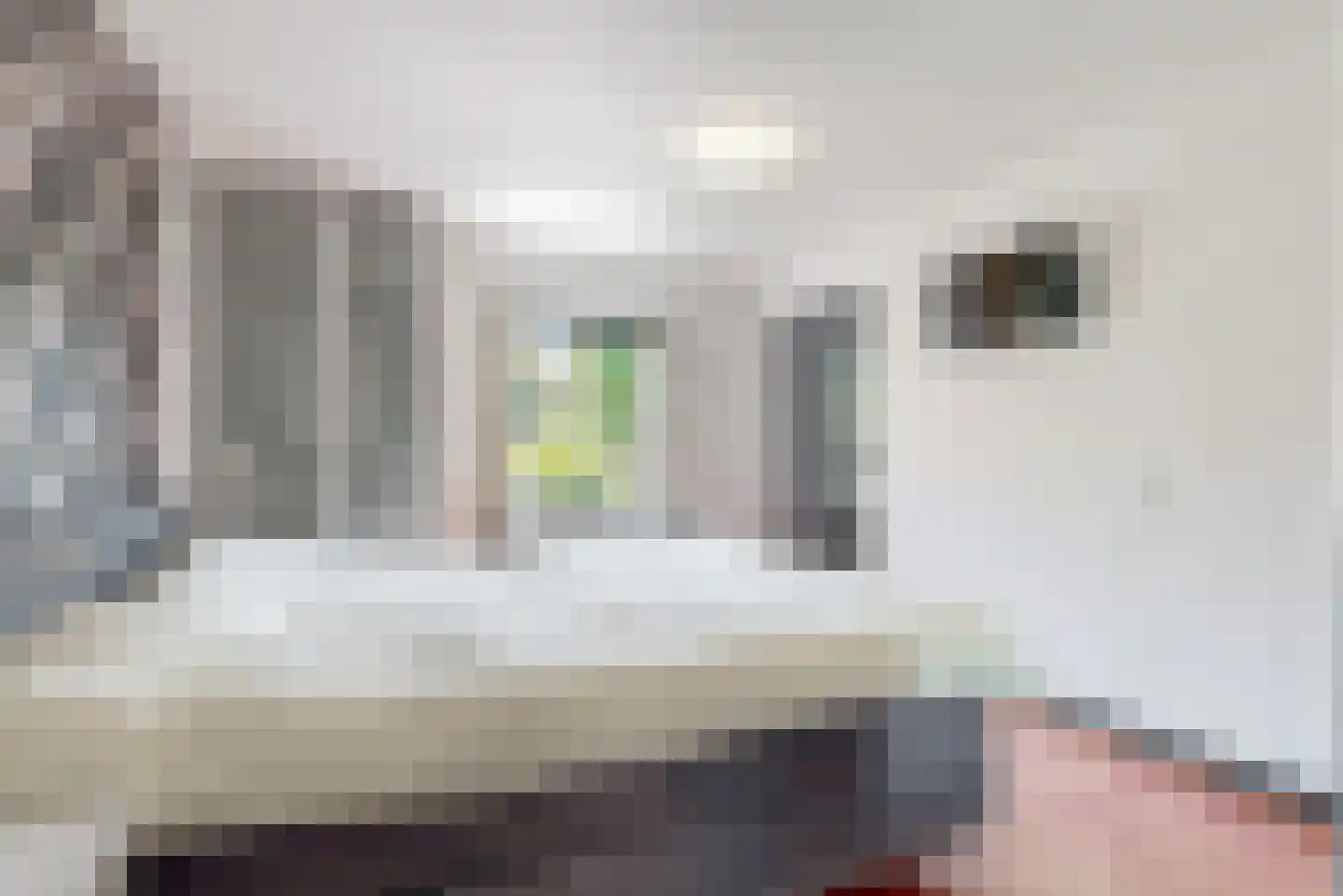 Willem de Zwijgerlaan 3 Hoorn thumbnail 23