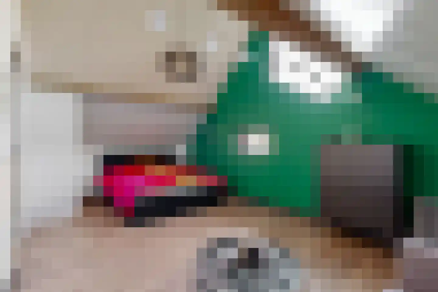 Willem de Zwijgerlaan 3 Hoorn thumbnail 28