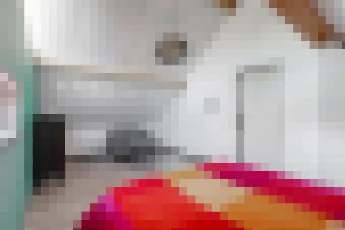 Willem de Zwijgerlaan 3 Hoorn thumbnail 29