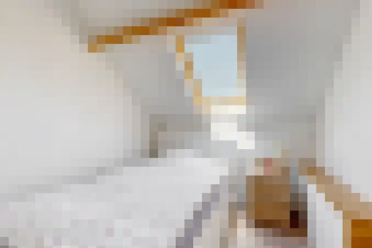 Willem de Zwijgerlaan 3 Hoorn thumbnail 30