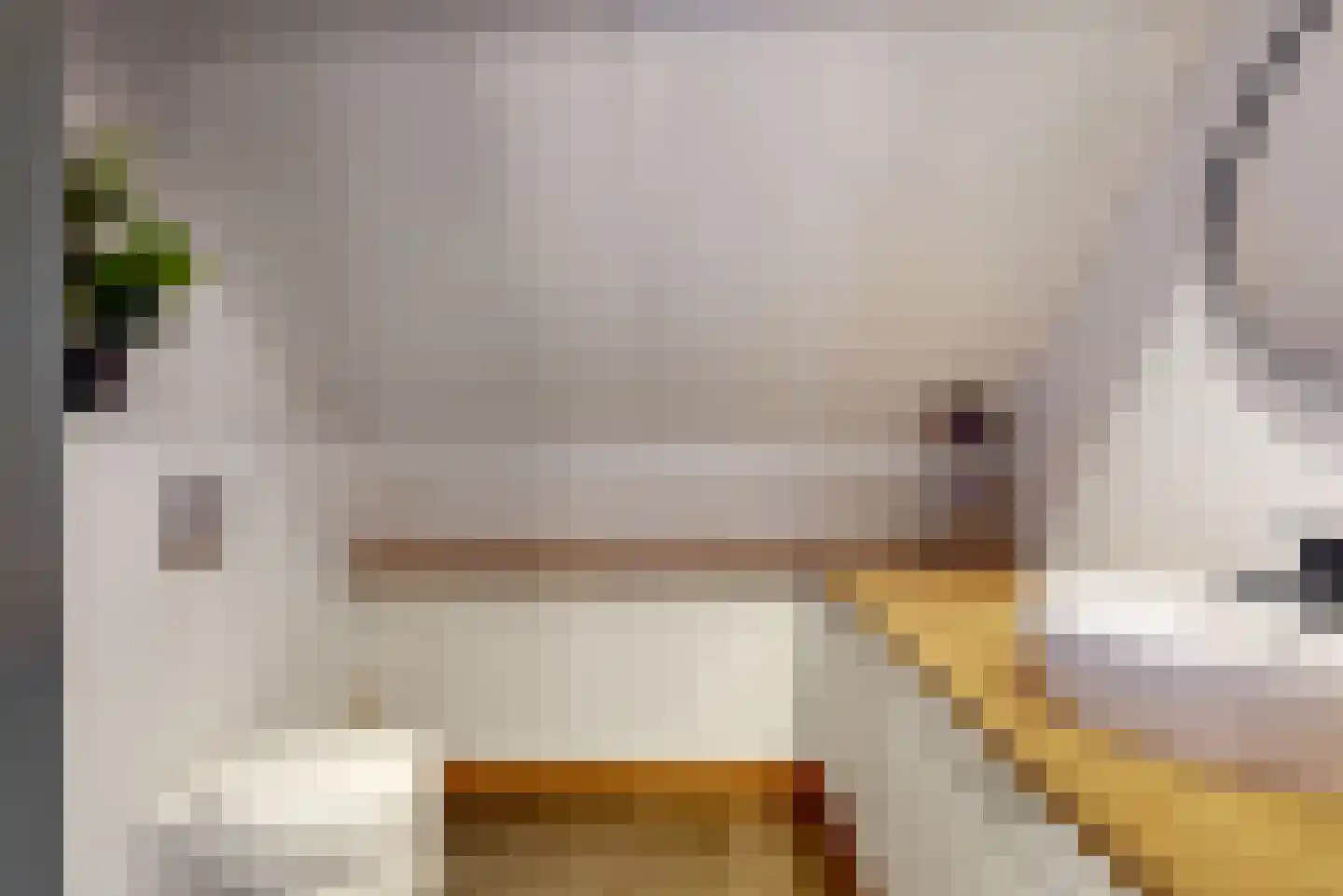 Willem de Zwijgerlaan 3 Hoorn thumbnail 31