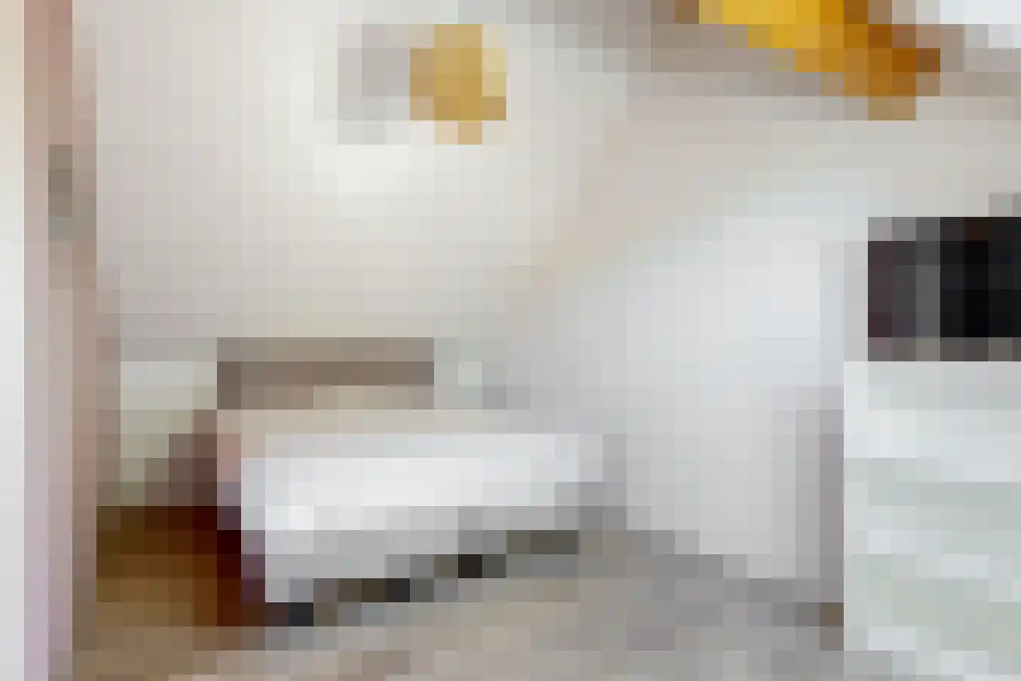 Willem de Zwijgerlaan 3 Hoorn thumbnail 36