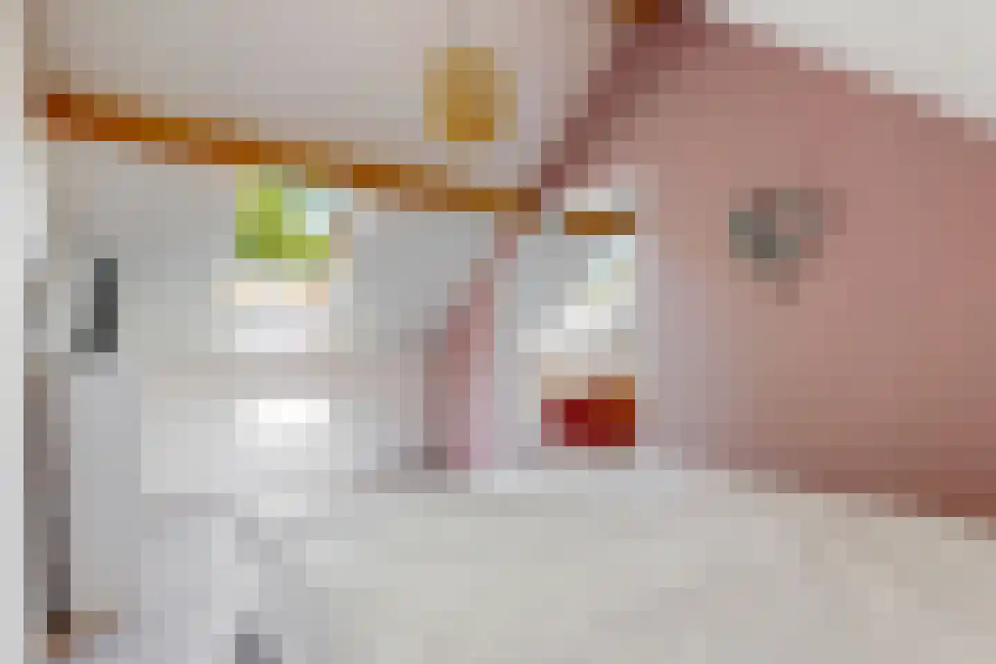 Willem de Zwijgerlaan 3 Hoorn thumbnail 37