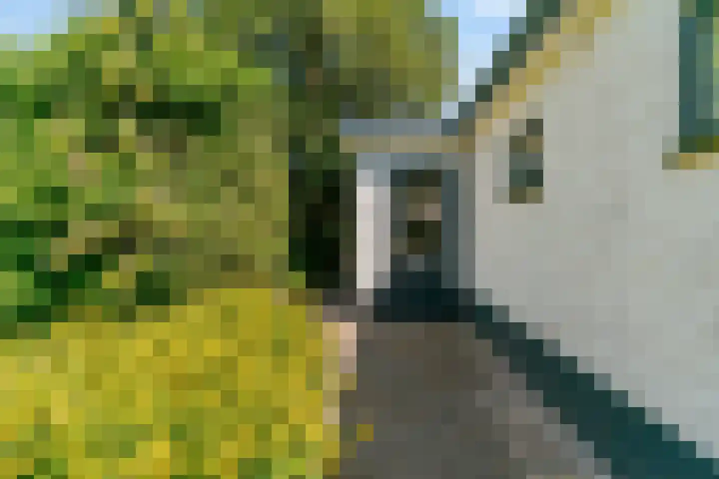 Willem de Zwijgerlaan 3 Hoorn thumbnail 42