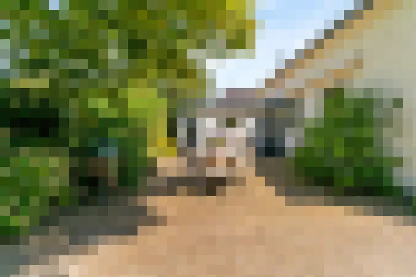 Willem de Zwijgerlaan 3 Hoorn thumbnail 46
