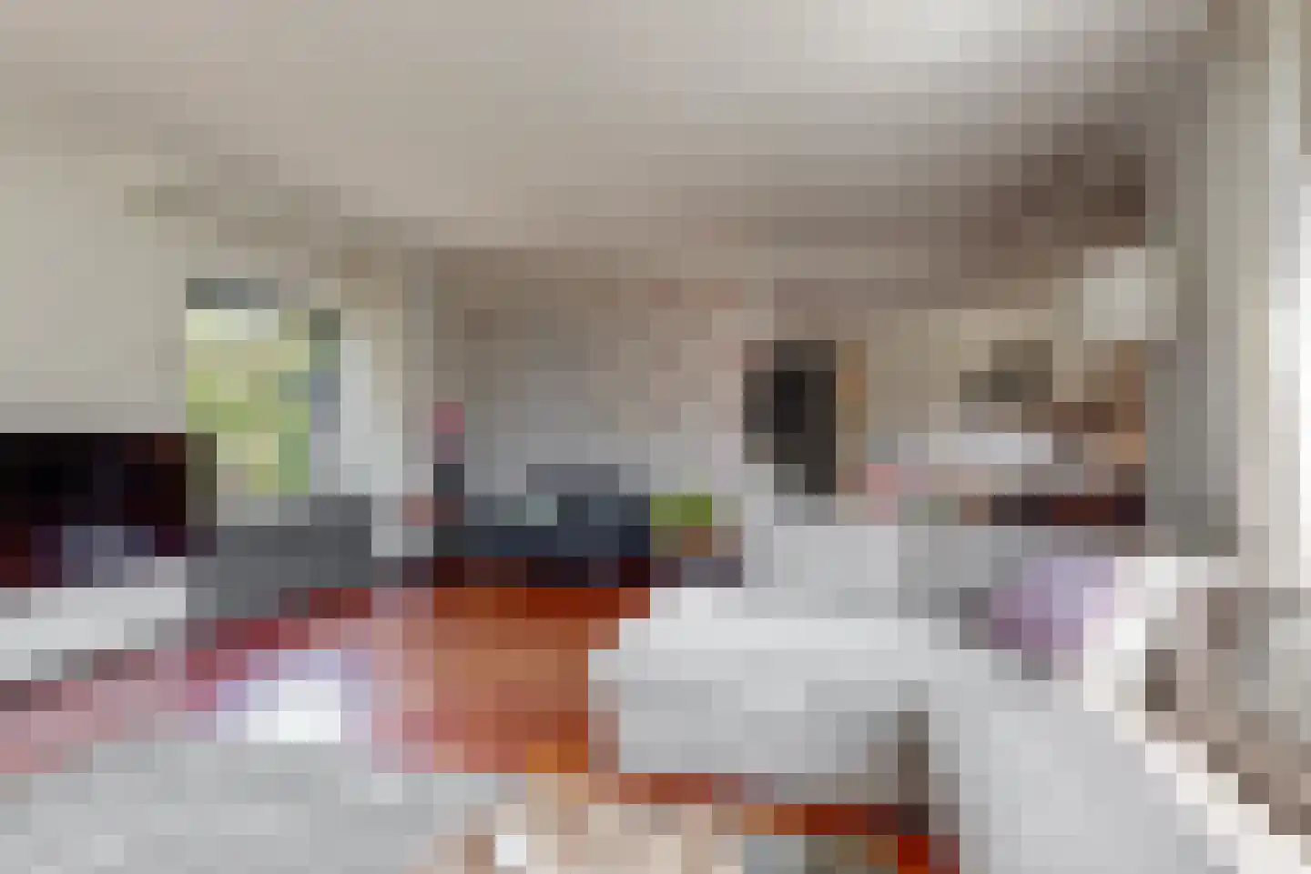 Willem de Zwijgerlaan 3 Hoorn thumbnail 6