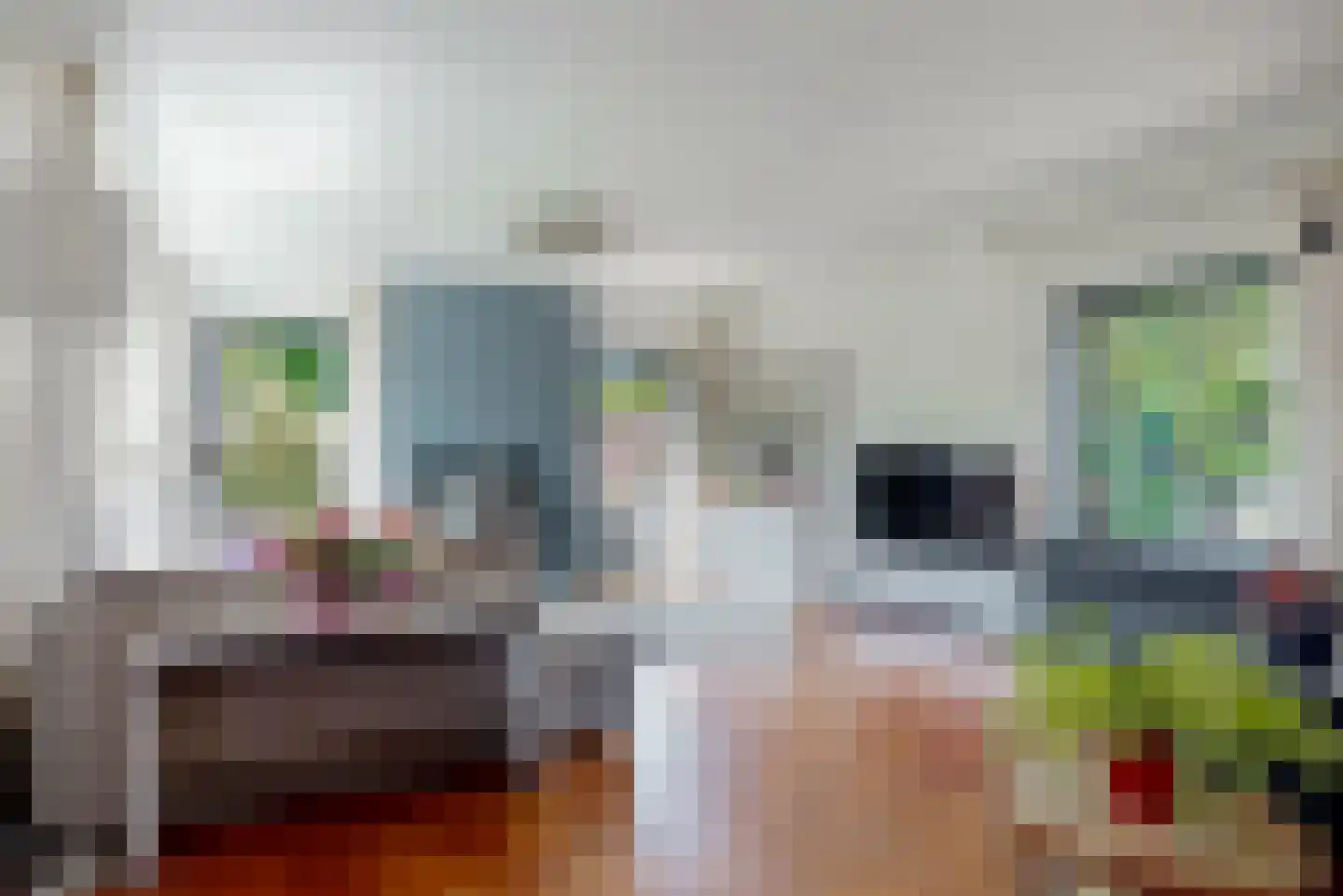 Willem de Zwijgerlaan 3 Hoorn thumbnail 9