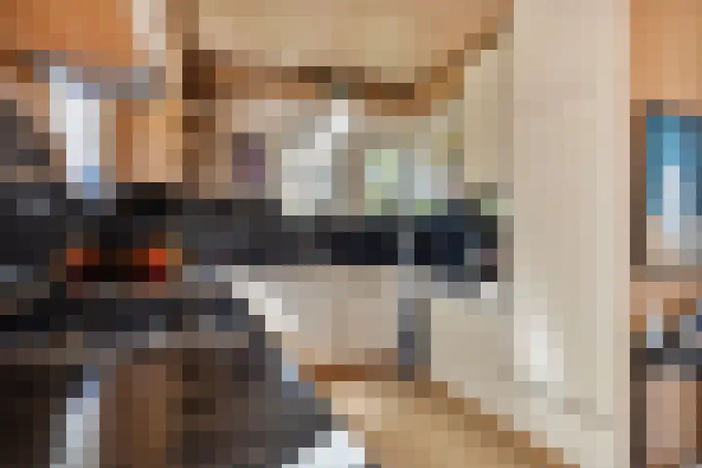 Willem de Zwijgerlaan 3 Terneuzen thumbnail 11